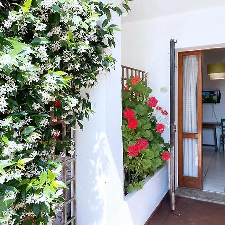 Adriana Di Argonautivacanze Apartment